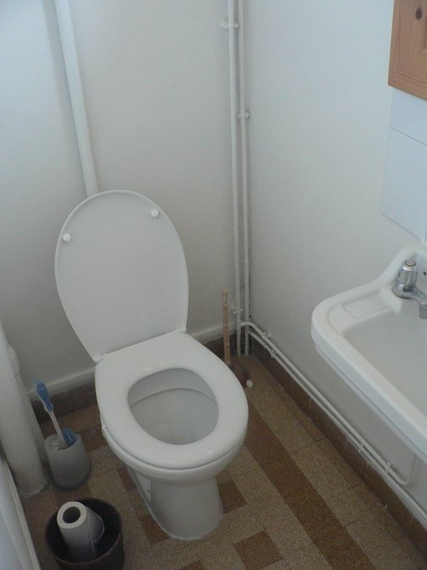 WC1ertagepelte.JPG